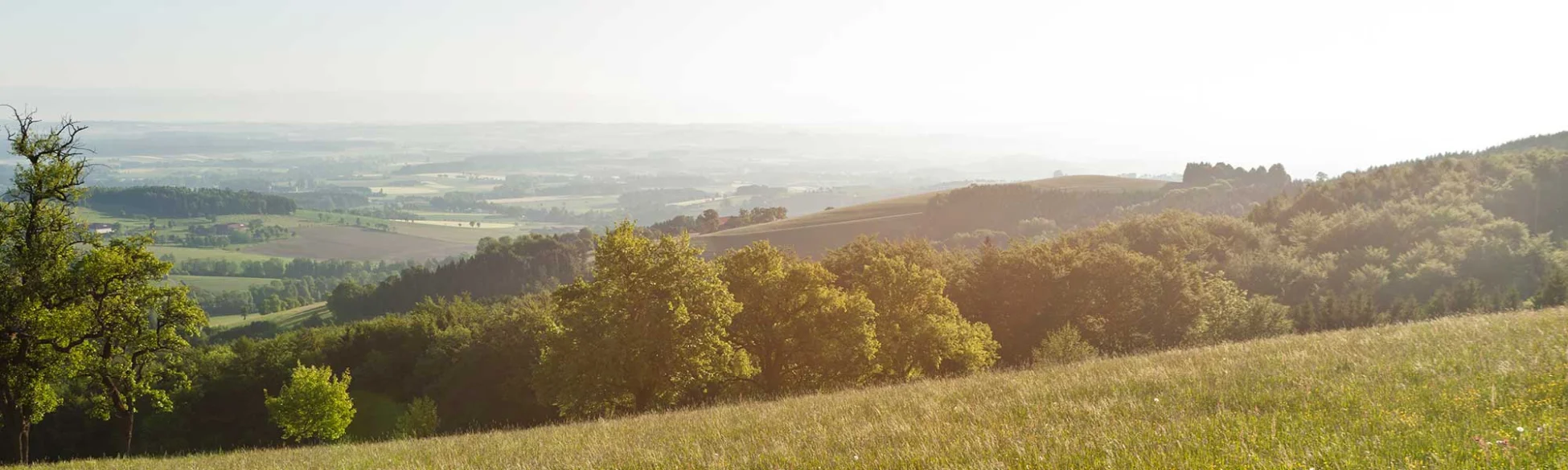 Ensmann Ausblick